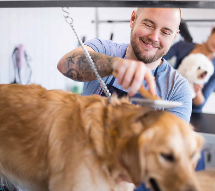 What Do I Need To Apply For A Loan?